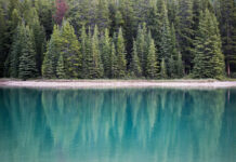 10 of the main causes of back and neck pain